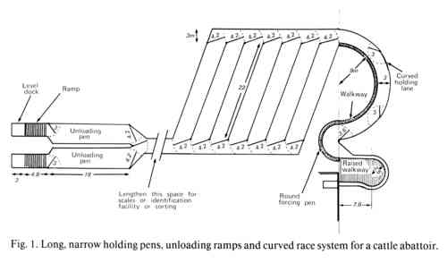 Design of loading facilities and holding pens