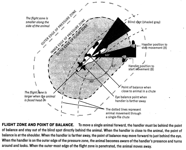 Flight zone diagram